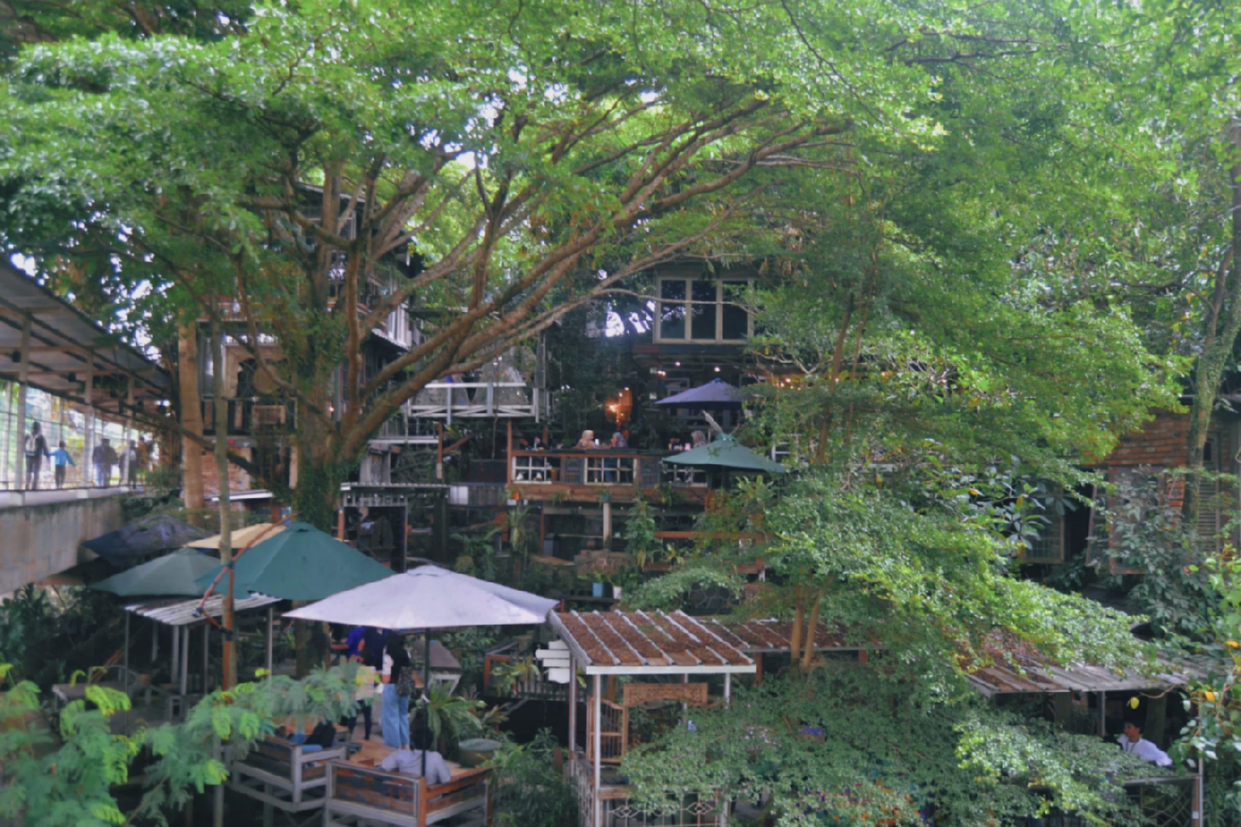 Rummah Go'a Cafe milik Artis Dik Doank di dekat Stasiun Jurang Mangu Kota Tangerang Selatan (Foto: Jurnalis TV/Annisa Rahma Lila)