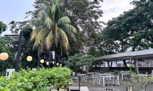 Jurnalis TV White Forest, kafe dengan sentuhan alam di Pamulang, Tangerang Selatan. (Foto: Jurnalis TV/Rifda Niswah Jalilah.)