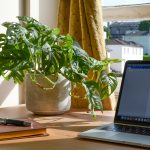 Ilustrasi WFH (Work from Home) (Foto: Unplash.com/ Mikey Harris)