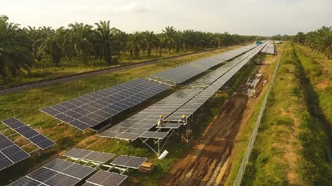 Transisi Energi Hijau. (Dok. Pertamina)