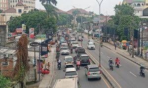 Ciputat yang berasal dari kata Ci (air) dan Putat, yaitu sejenis pohon yang dulu banyak tumbuh subur di tepian sungai. (Foto: detikcom/Adrial)