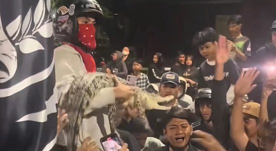 Seorang suporter membawa seekor buaya yang diikat ke tengah kerumunan saat nobar Derby Jawa Timur antara Persebaya Surabaya melawan Arema FC di Lapangan Kodikmar, Surabaya. (Foto: Screenshot TikTok @@alvinvin4973)