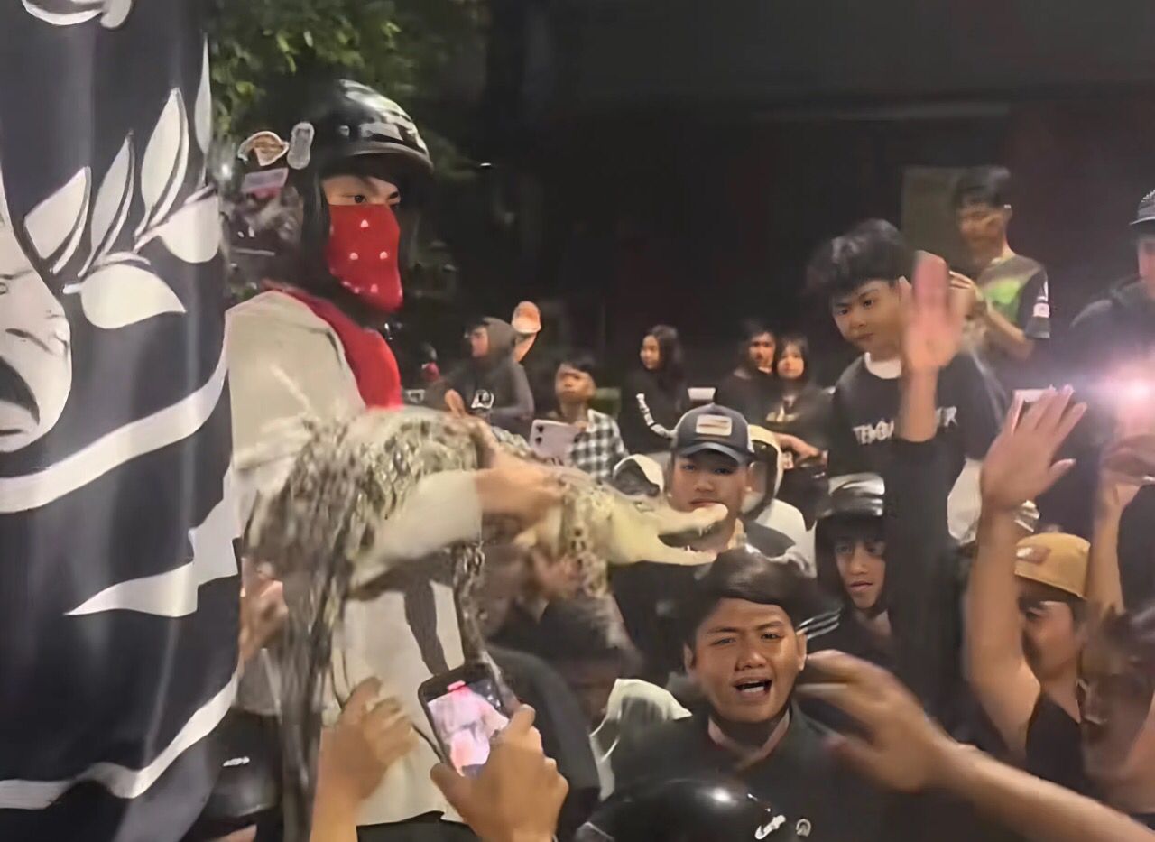 Seorang suporter membawa seekor buaya yang diikat ke tengah kerumunan saat nobar Derby Jawa Timur antara Persebaya Surabaya melawan Arema FC di Lapangan Kodikmar, Surabaya. (Foto: Screenshot TikTok @@alvinvin4973)
